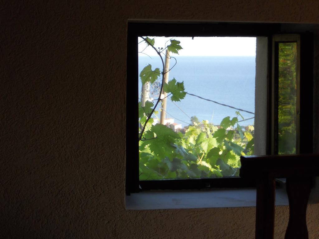 Apartment Djukovic Petrovac Exterior foto